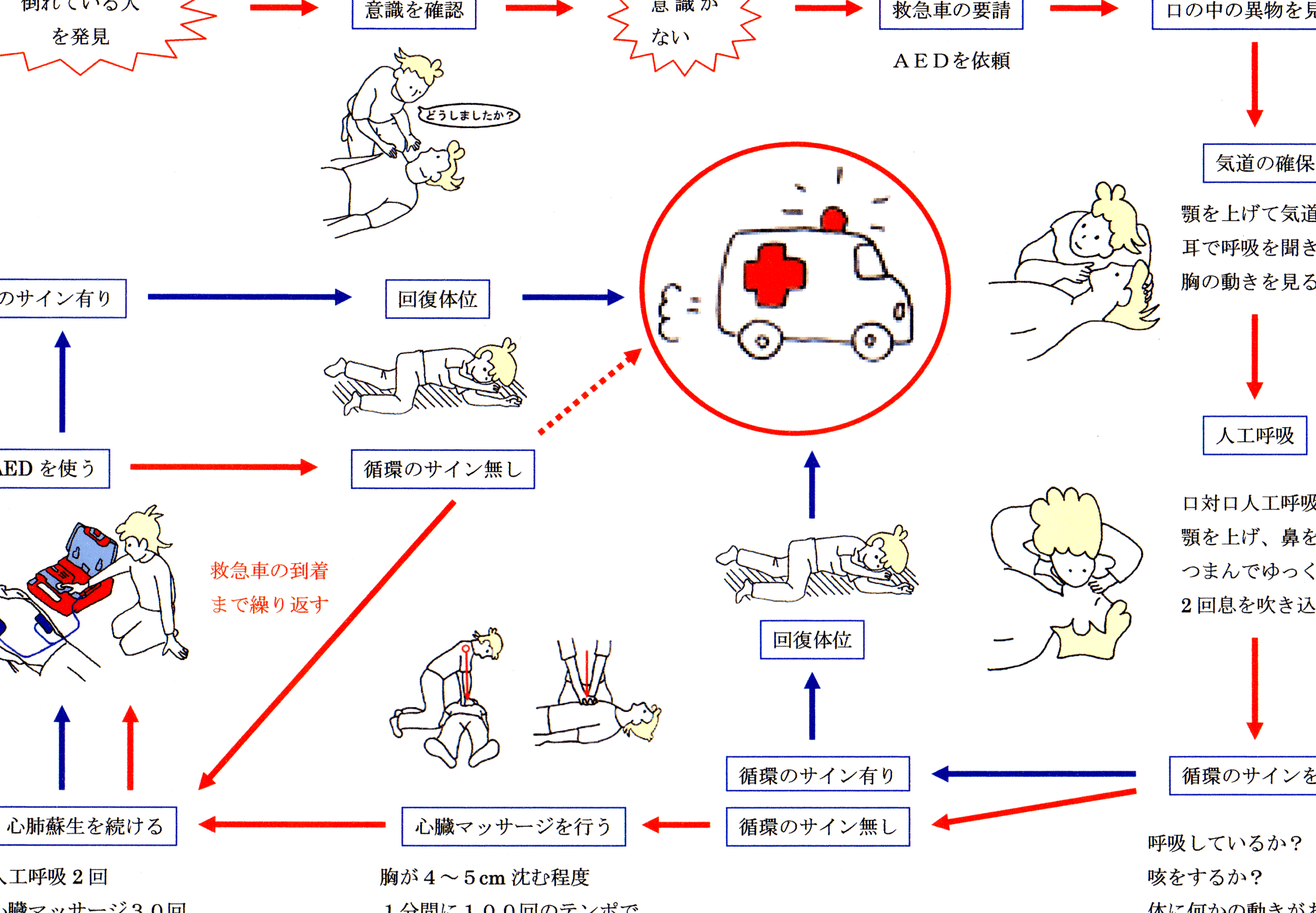 胸骨圧迫で血液を送るべき部位とその方法